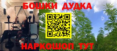бошки Будённовск